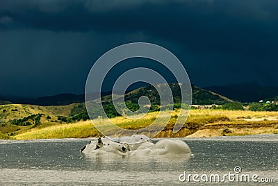 Mud volcano eruption at Vulcanii Noroiosi Stock Photo