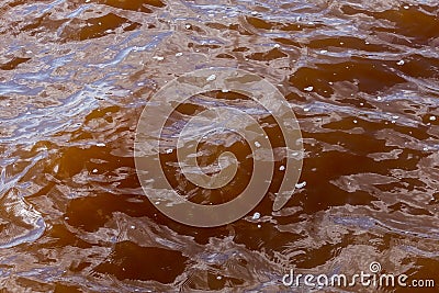 Muddy African river. Dirty body of water or lake. Frightening suspense Stock Photo