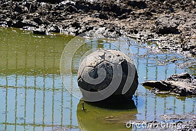 Muddy football Stock Photo