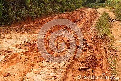 Muddy road through the jungle Stock Photo