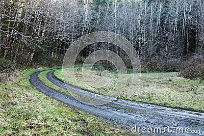 Muddy road Stock Photo