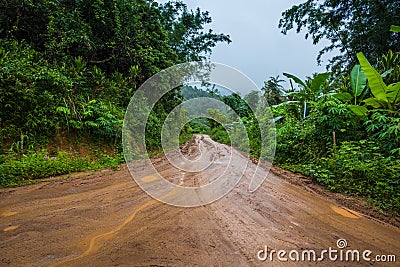 Muddy road Stock Photo