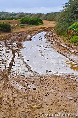 Muddy road Stock Photo