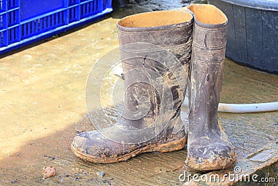 Muddy rubber boots Stock Photo