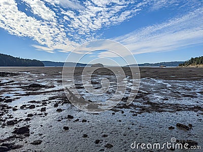 Muddy Sand Tide Flats: Marthas Beach, LaConner Washington, Shelter Bay Stock Photo