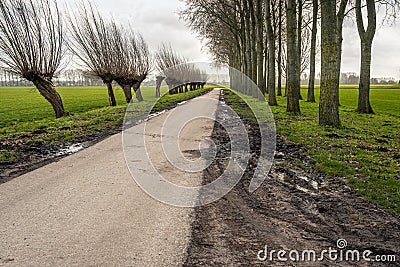 Muddy tire tracks on the shoulder of a country road Stock Photo