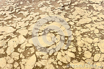 Muddy water with foam on a puddle. Stagnant cloudy water background Stock Photo