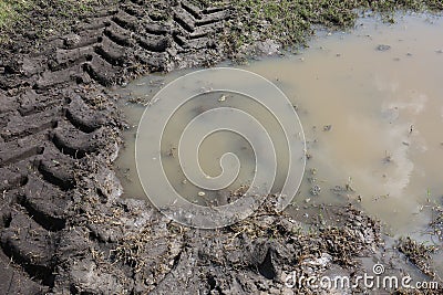 Muddy Water Puddle with Tractor Tracks Stock Photo