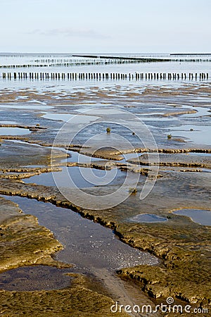 Mudflat Stock Photo