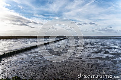 Mudflat along the Dutch coast Stock Photo