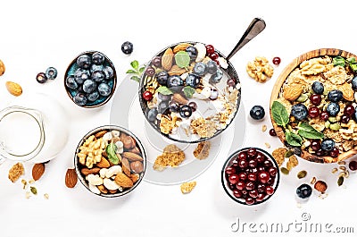 Muesli bowl and organic ingredients for healthy breakfast. Granola, nuts, blueberry, cranberry, oatmeal, greek yoghurt, whole Stock Photo