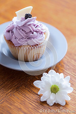 Muffin with blueberry cream Stock Photo