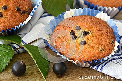 Muffin cakes with blackcurrants Stock Photo