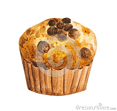 Muffin chocolate chip hand drawn watercolor Cartoon Illustration