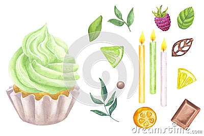 Muffin with green sweet whipped cream. Citrus fruits, lime, lemon, kumquat, chocolate, leaf. Collection rainbow cupcakes Cartoon Illustration