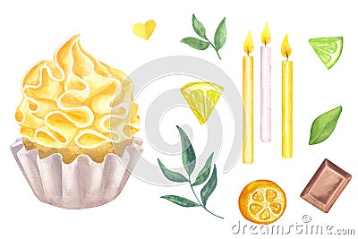 Muffin with orange sweet whipped cream. Citrus fruits, lime, lemon, kumquat, chocolate, leaf. Collection rainbow Cartoon Illustration