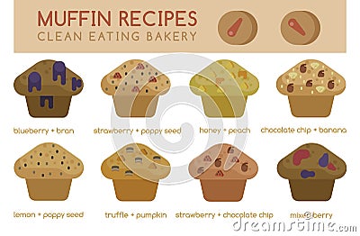 Muffin recipes clean eating bakery Vector Illustration