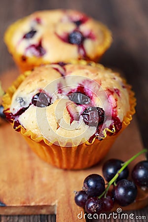 Muffins with black currant Stock Photo