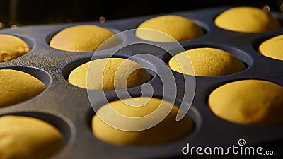 Muffins Het bakken in oven De lengte van de tijdtijdspanne van het koken Cupcakes 4k, UHD stock footage Muffins Het bakken in oven De lengte van de tijdtijdspanne van het koken Cupcakes 4k, UHD stock footage