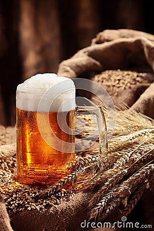 Mug of beer in malt.Pale malt, crystal malt. Still life. Copy space . Stock Photo