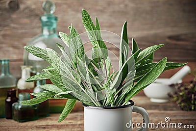 Mug of sage herbs, mortar and glass bottles of essential oil and tincture on background Stock Photo