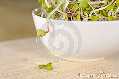 A mug of tasty beer on a metal table. Cold beer prepared for serving Stock Photo