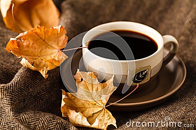 Mug with tea bag, book and plaid winter blanket on vintage wooden table Stock Photo