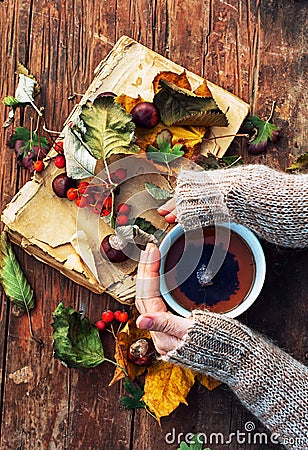 Mug of warm autumn tea Stock Photo