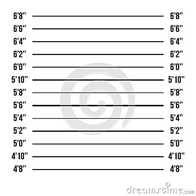 Mugshot Police Vector. Police Mugshot Lineup Isolated. Prison Background. Vector Illustration Vector Illustration