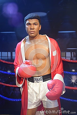 Muhammad Ali Professional Boxer Editorial Stock Photo