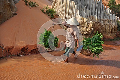 Vietnamese woman carries her herbs Editorial Stock Photo