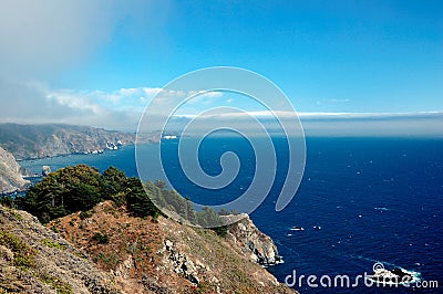 Muir Woods Overlook Stock Photo