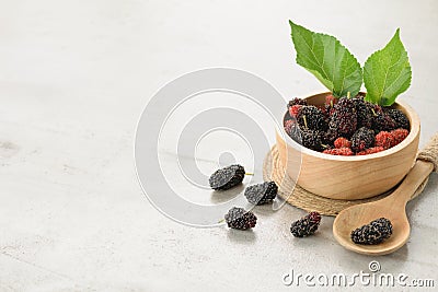 Mulberry in bowl and spoon leaf with copyspace Stock Photo
