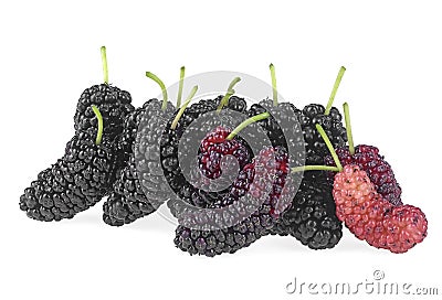 Mulberry fruit. Closeup of freshness mulberry fruits isolated on white background Stock Photo