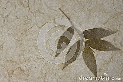 Mulberry paper texture background with leaf Stock Photo