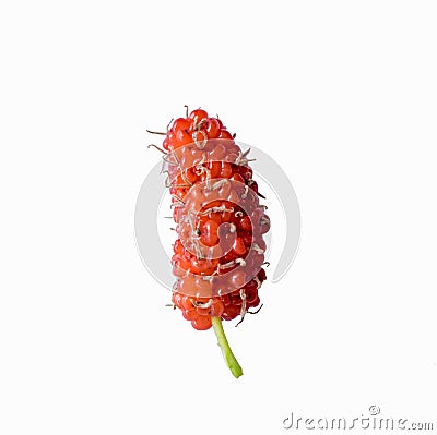 Mulberry ripe single colorful valuable Stock Photo
