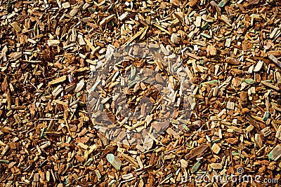 Mulch made of wood bark. Mulching is an agrotechnical way of covering the soil Stock Photo