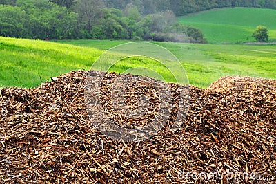 Mulch nature biomass Stock Photo