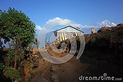 Mule and new built house after earthquake next to trail on lower part of Everest trek Stock Photo