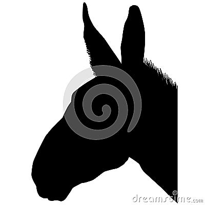 Mule vector eps illustration by crafteroks Vector Illustration