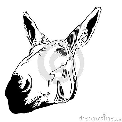 Mule vector eps illustration by crafteroks Vector Illustration