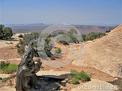 Muley Point Stock Photo