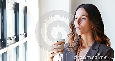 Mulher de negócios que bebe algum café pela janela video estoque Mulher de negócios que bebe algum café pela janela video estoque