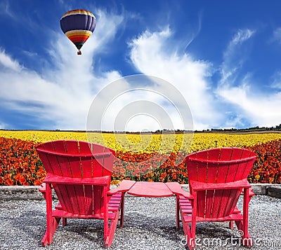 The multi-color balloon flying Stock Photo