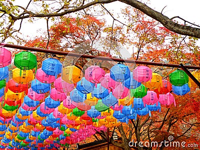 Multi color paper lanterns under the fall foliage in an old temple Editorial Stock Photo