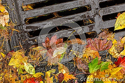 Multi colored leaves clogging a street drain Stock Photo