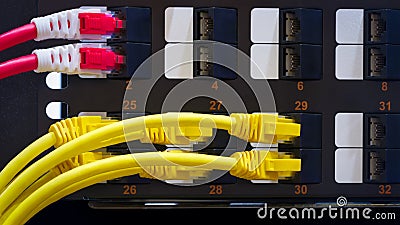 Multi Colored Network Cables Connected to Switch, network technology concept Stock Photo