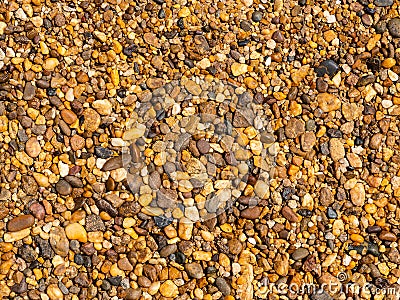 Multi-colored pebbles on the beach. Pebble background Stock Photo