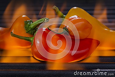 Multi colored Peppers on a Hot Flaming Barbecue Grill Stock Photo