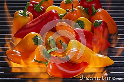 Multi colored Peppers on a Hot Flaming Barbecue Grill Stock Photo